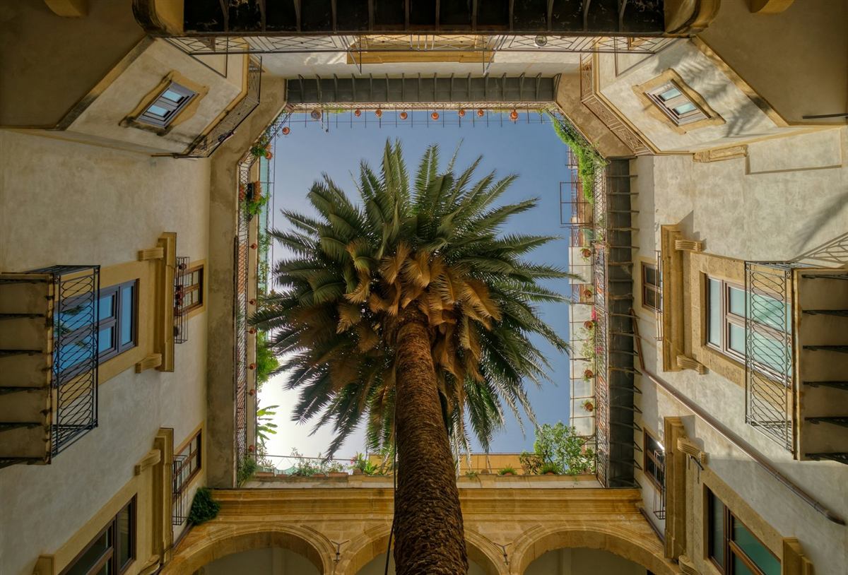 Cortile con palma di un palazzo a Palermo